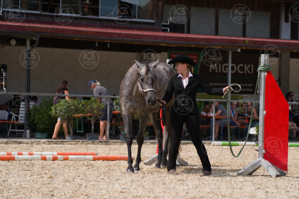 s_batch_A9_00070.jpg